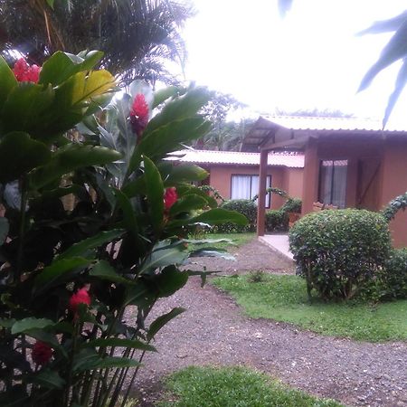 Slow Travel Lodge Upala Exterior foto